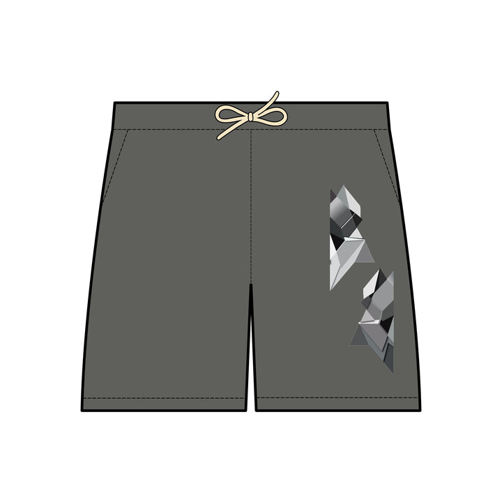 FizT logo Fleece Sweat Shorts